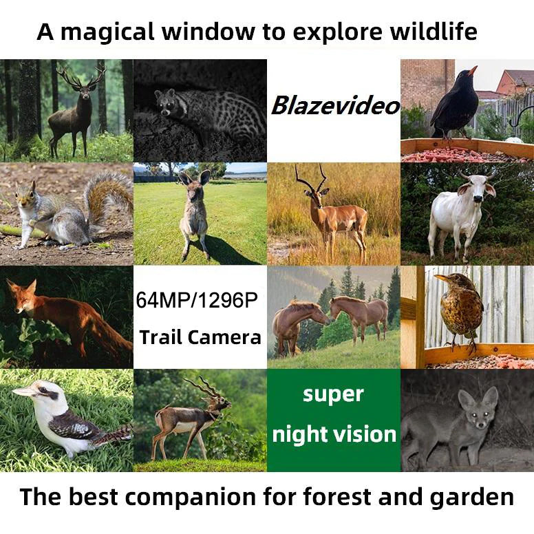 4-Pack 64MP 1296P Video Game Trail Observing Wildlife Cameras Night Vision No Glow 0.1S Trigger Motion Activated Stealthy Camouflage | A262