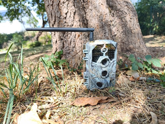 Why Choose the BlazeVideo A106W?