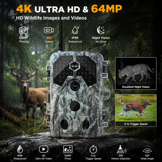 Tired of blurry nighttime shots? We’ve got the solution.