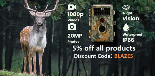 Wild Cameramen at Work - What can wild camera do?