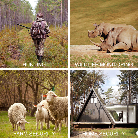 Hunting Camera: Types and Buying Guide
