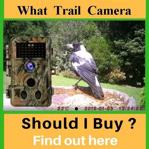 Some points you must know: How to select Hunting Camera / Trail Camera