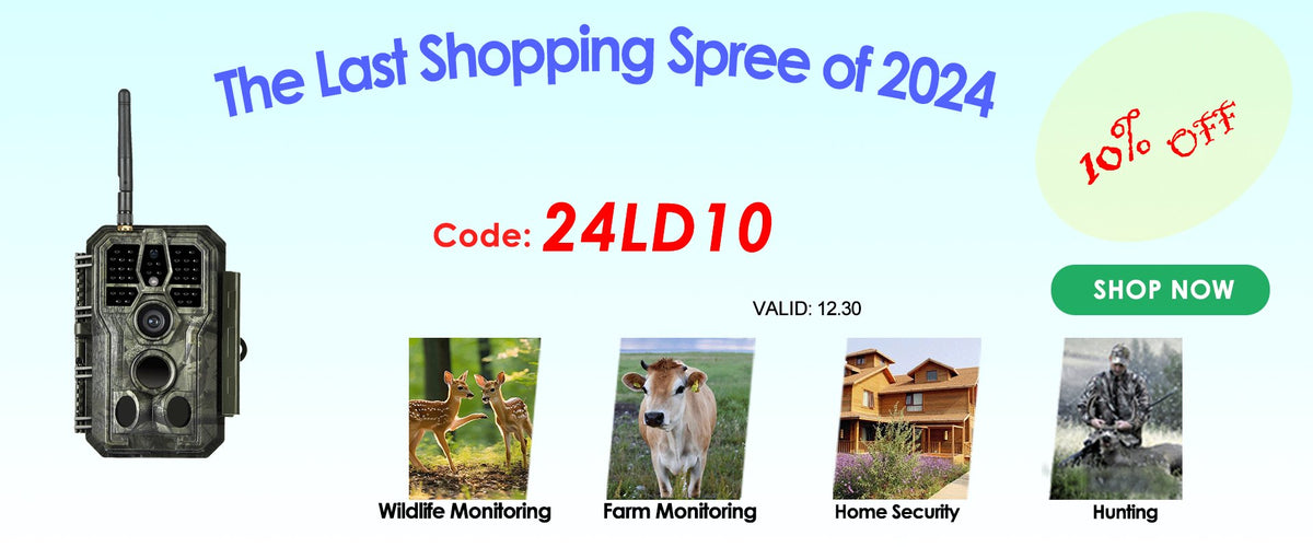 The Last Shopping Spree of 2024
