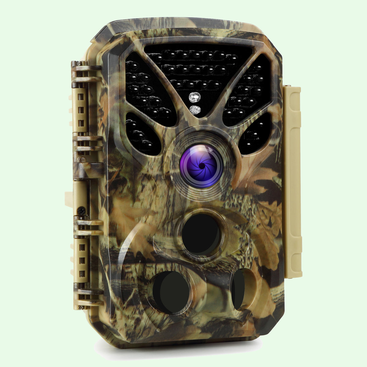 Green Forest T326
