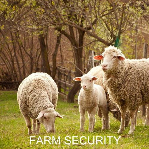 Farm & Ranch Cameras