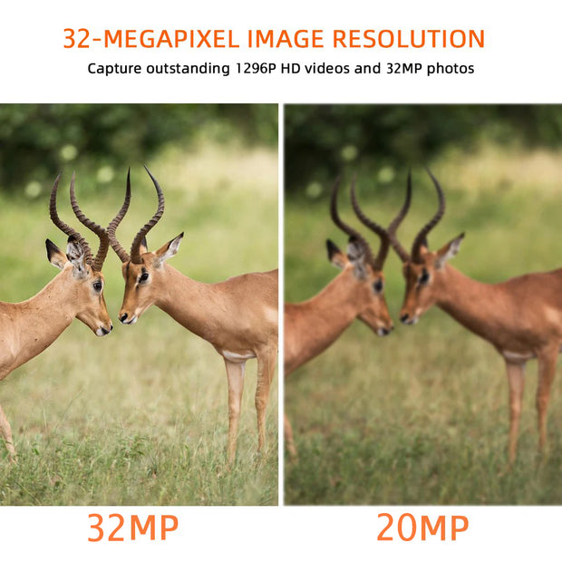 6-Pack Wildlife Trail & Stealthy Camouflage Field Tree Cams for Outdoor Tracking 32MP Photo 1296P MP4 Video Night Vision Motion Activated Waterproof