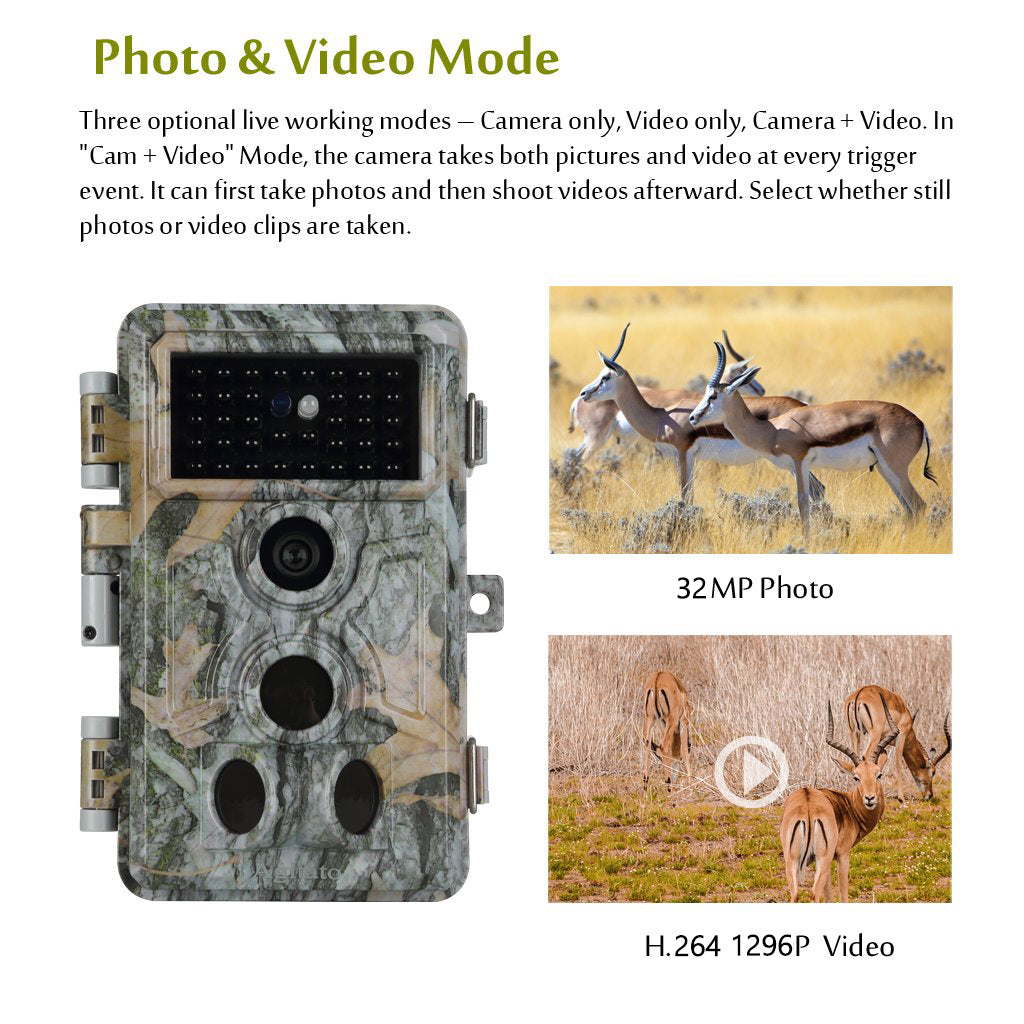 262_-_-01_1080x.jpg?v=1721978236