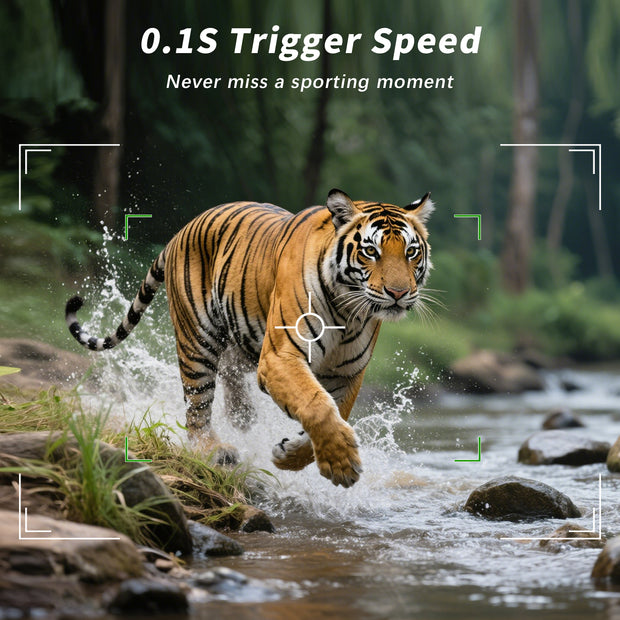 2-Pack Blazevideo A106W 4K WIFI 64MP Trail Camera 100ft Night Vision Motion Activated 0.1S Trigger Speed No Glow Waterproof for Wildlife Observing & Backyard Security