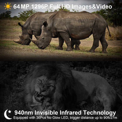 Two rhinos walking together with a lion eating prey, showcasing 64MP 1296P Full HD technology and 940nm infrared technology.