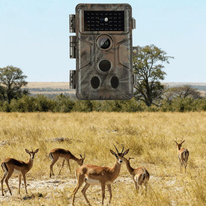 2-Pack 64MP 1296P MP4 Video Game Trail Deer Cameras Wildlife Cams 100ft Night Vision Motion Activated 0.1S Trigger Speed Waterproof No Glow | A323 Oak Brown