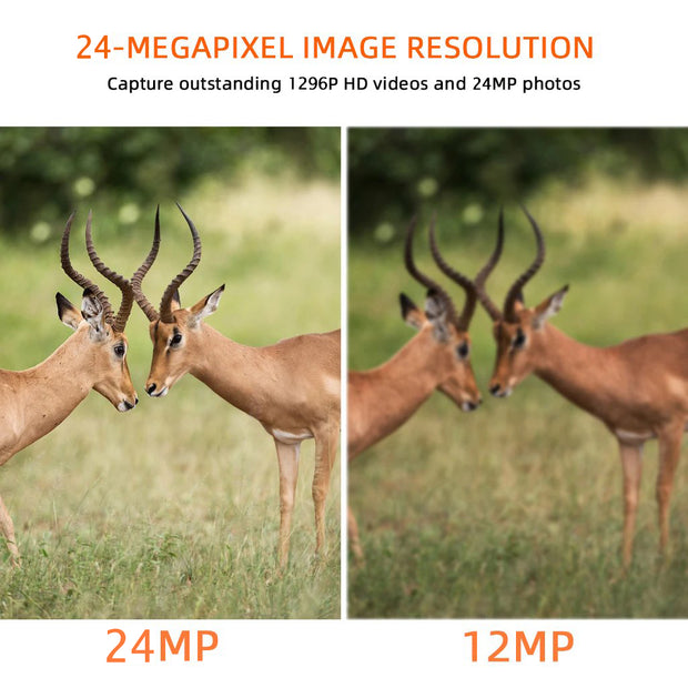 2-Pack Game Trail Deer Cameras for Observing & Home Security 24MP 1296P Video Night Vision Motion Activated Waterproof Invisible Infrared Time Lapse | A252