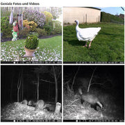 Game & Deer Observing Trail Camera 32MP Photo 1296P Video No Glow Night Vision Motion Activated IP66 Waterproof Photo & Video Model | A252