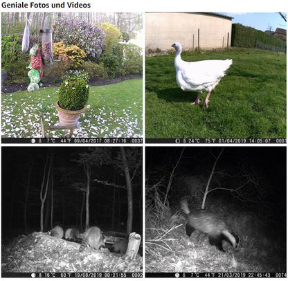 64MP 1296P Video Camouflage Game Trail & Deer Observing Wildlife Camera HD Motion Activated No Glow Night Version IP66 Waterproof | A252 Driftwood Bark
