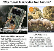 2-Pack Game Trail Wildlife Animal Cams Observing Deer Cameras 32MP Photo 1296P Video Night Vision No Glow Infrared Motion Activated Waterproof | A252