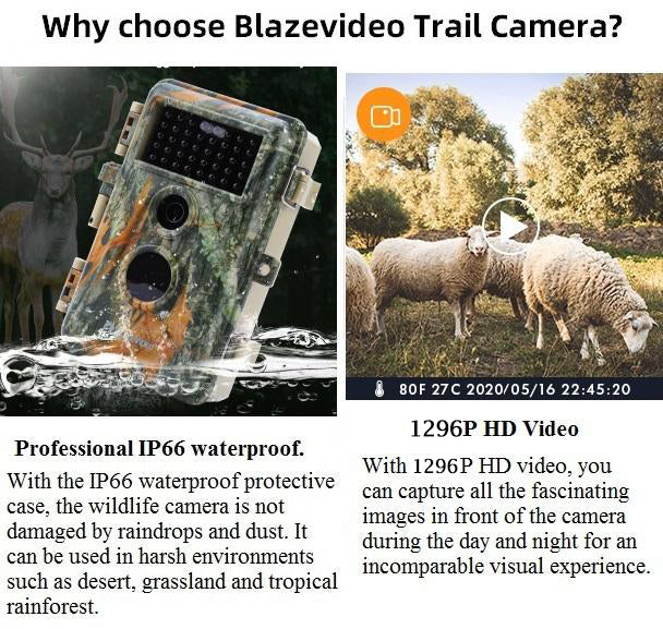 4-Pack No Glow Game Trail & Field Tree Cameras 64MP 2304x1296P MP4 Video Stealthy Camouflage Night Vision Motion Activated Time Lapse Multi-shot Mode for Wildlife Monitoring | A252 Matte Olive Drab