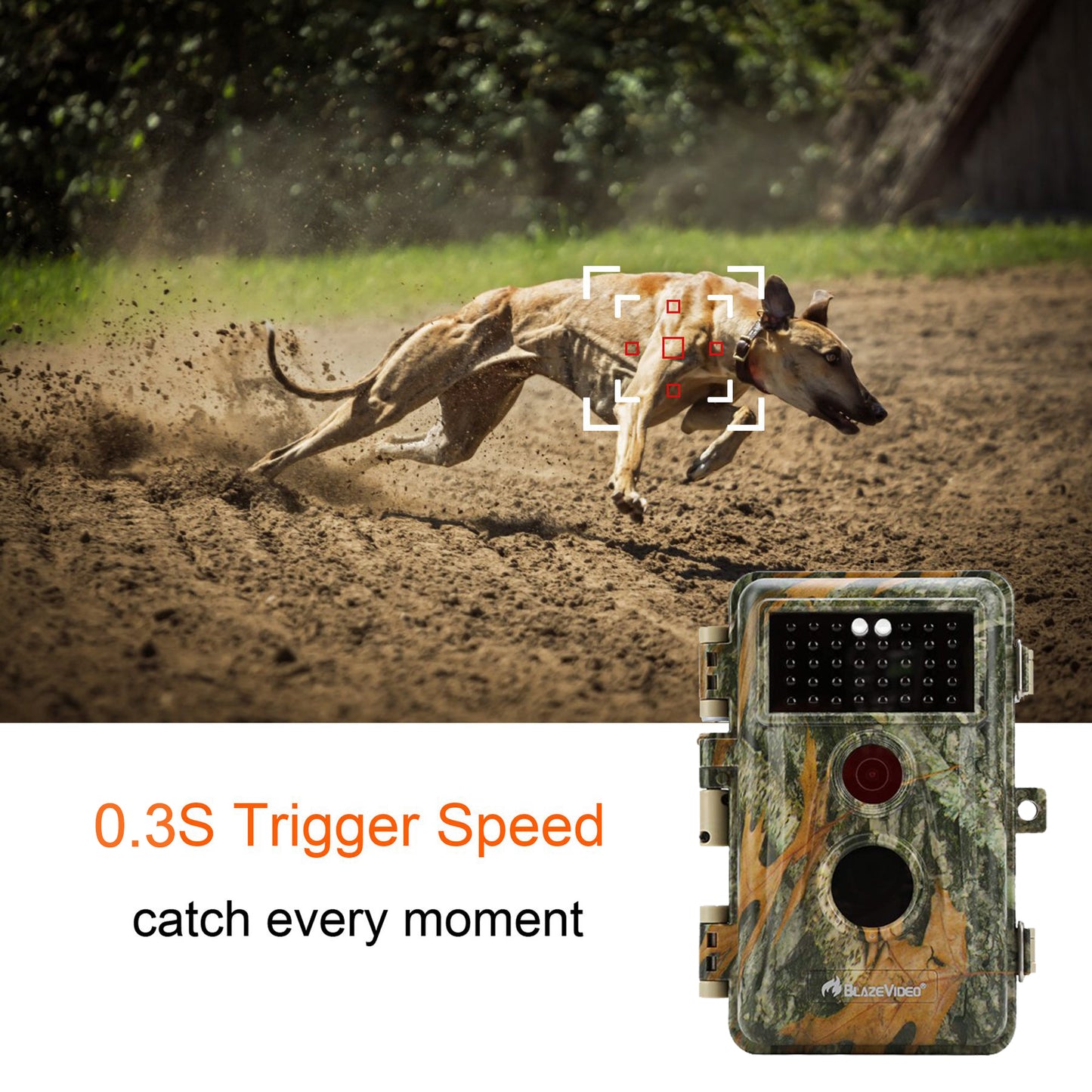 5-Pack 64MP Photo 1296P Video No Glow Game Trail Cameras & Stealthy Camouflage Field Tree Cams Night Vision Motion Activated Waterproof Time Lapse | A252 Matte Olive Drab
