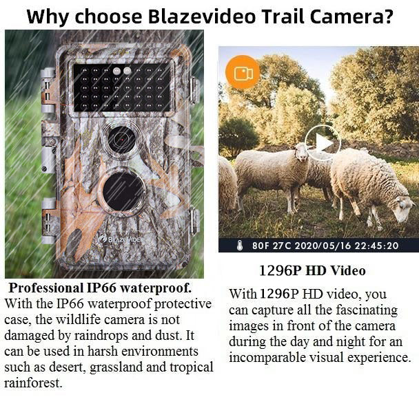 2-Pack 64MP 1296P Video Game Trail Deer Cameras for Observing & Home Security Night Vision Motion Activated Waterproof Invisible Infrared Time Lapse | A252 Driftwood Bark