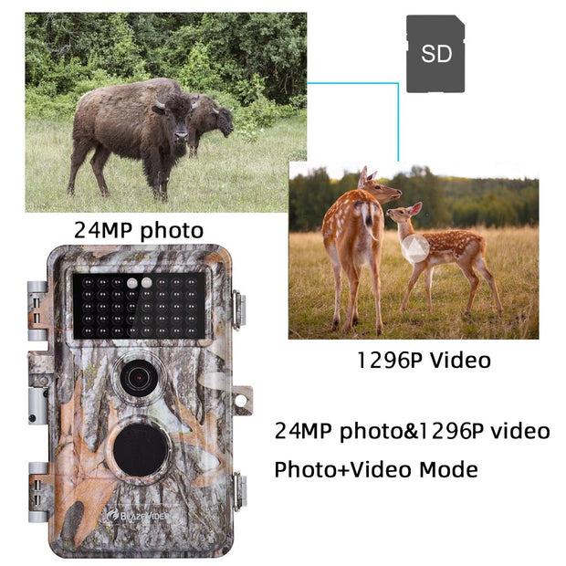 Game & Deer Observing Trail Camera 24MP Photo 1296P Video No Glow Night Vision Motion Activated IP66 Waterproof Photo & Video Model | A252