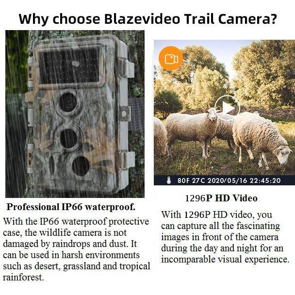 2-Pack Stealthy Camo Trail Observing & Game Deer Cameras 64MP 1296P Video HD 0.1s Trigger Time Motion Activated Waterproof No Glow Night Vision for Backyard Security | A262 Driftwood Bark