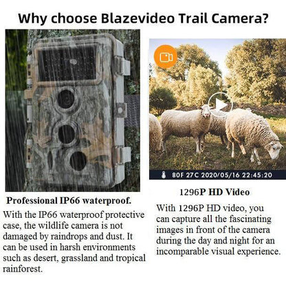 5-Pack 64MP 1296P Video Stealthy Camo Trail Observing & Game Deer Cameras HD 0.1s Trigger Time Motion Activated Waterproof No Glow Night Vision | A262 Driftwood Bark