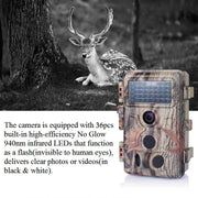 8-Pack Game Trail Wildlife Observing Deer Cameras 24MP 1296P Video with Night Vision Motion Activated No Glow Infrared Waterproof | A262