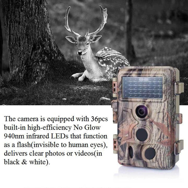 4-Pack Game Trail Observing Wildlife Cameras 24MP 1296P Video Night Vision No Glow 0.1S Trigger Motion Activated Stealthy Camouflage | A262