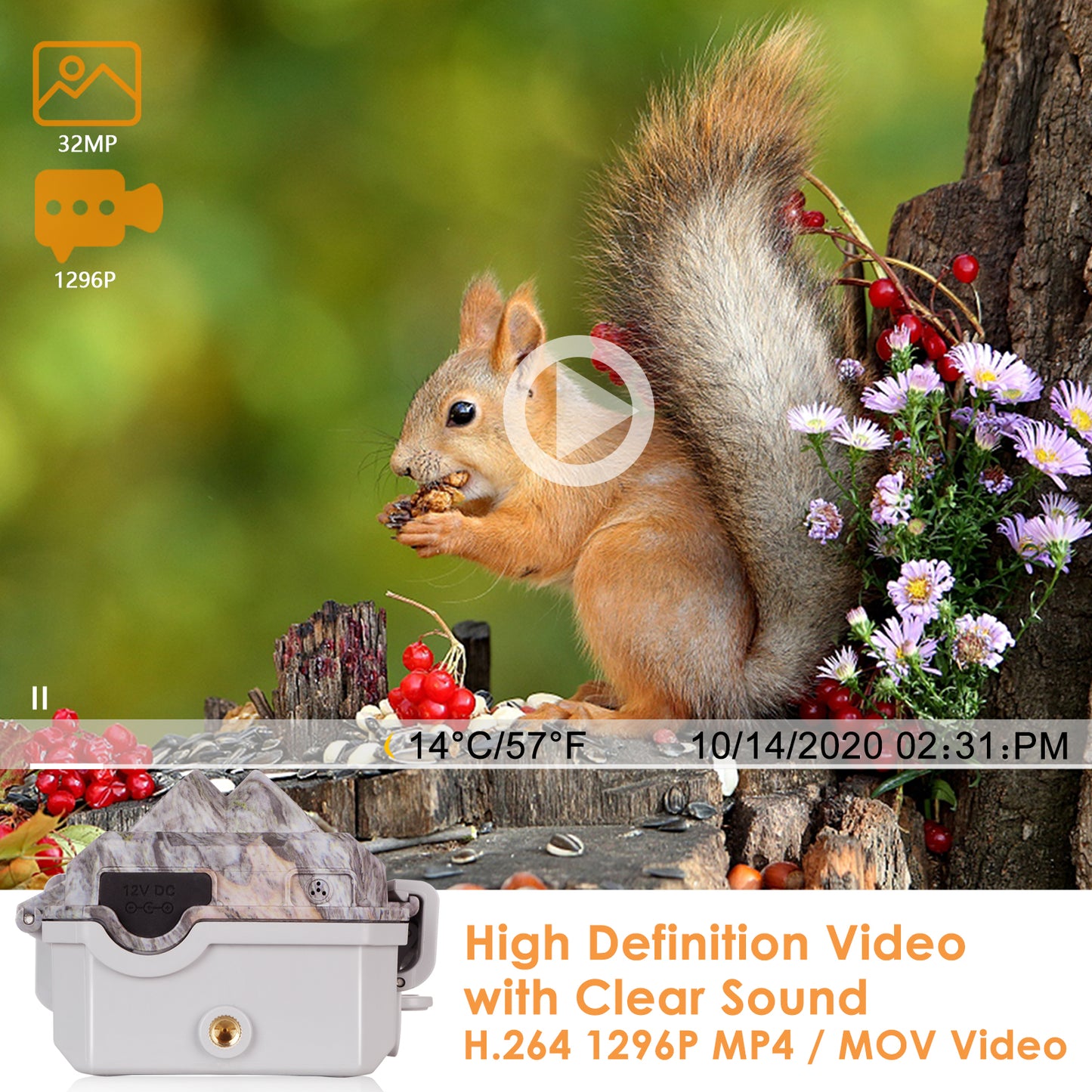 Bluetooth Wifi Game & Trail Cameras 64MP 1296P for Wildlife Observing & Home or Backyard Security Night Vision Motion Activated Waterproof | A280W Oak Brown
