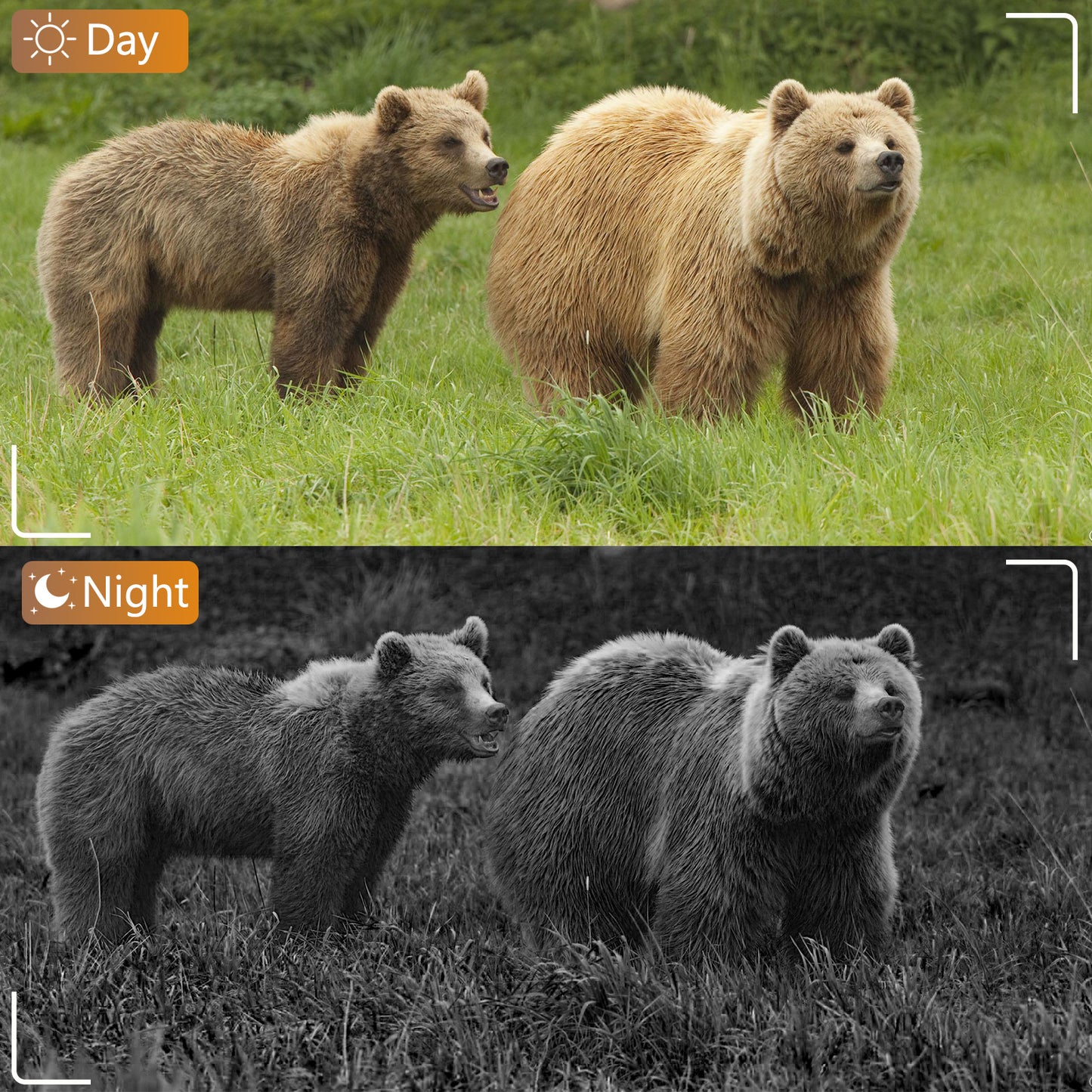 2-Pack Bluetooth Wireless 64MP Game & Trail Cameras for Wildlife Observing & Home or Backyard Security Night Vision Motion Activated Waterproof | A280W Oak Brown