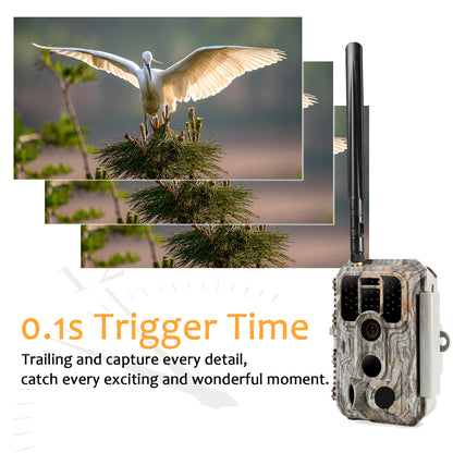 4G LTE Cellular 32MP 1296P Game & Trail Camera 32MP 1296P 100ft Night Vision Motion Activated Waterproof with SIM Card Sends Picture to Cell Phone | A390G Driftwood Bark