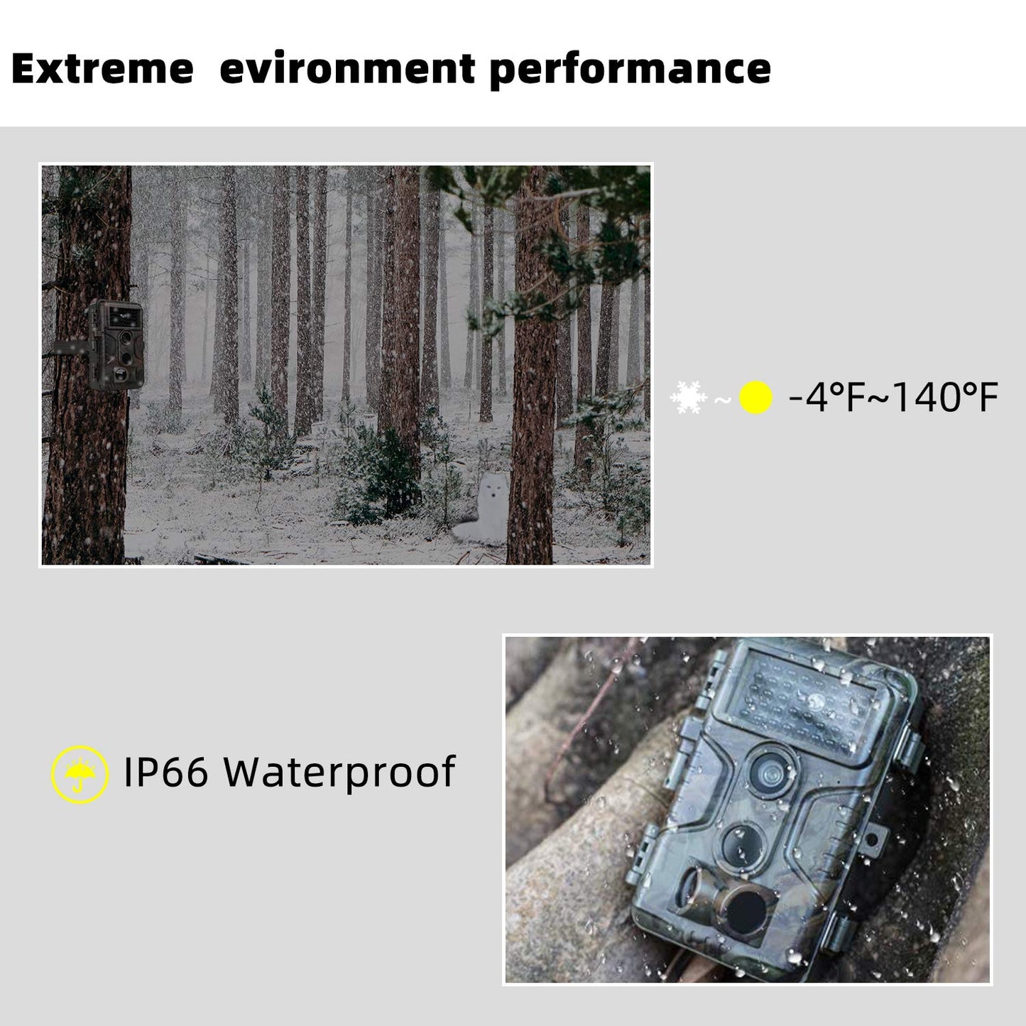 2-Pack 64MP 1296P MP4 Video Game Trail Deer Cameras Wildlife Cams 100ft Night Vision Motion Activated 0.1S Trigger Speed Waterproof No Glow | A323 Oak Brown