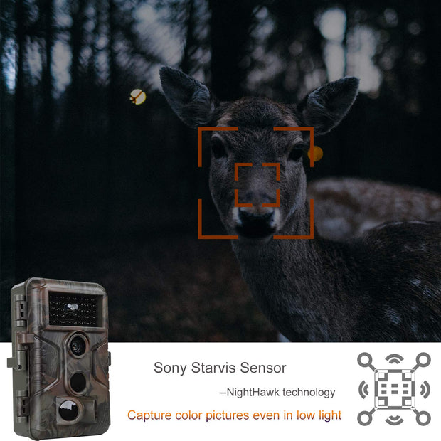 Trail Deer Camera 100ft Night Vision 24MP 1296P Motion Activated 0.1S Trigger Speed No Glow Waterproof for Wildlife Observing & Backyard Security A323