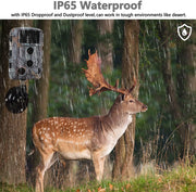 Wildlife Trail Camera with Low Glow Night Vision 0.3S Trigger Motion Activated 20MP 1296P IP65 Waterproof for Observing & home security | DL2Q