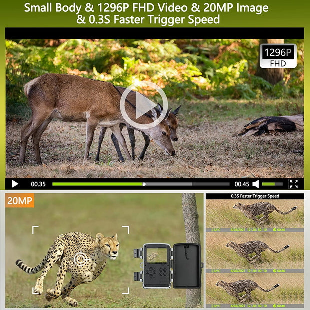 Wildlife Trail Camera with Low Glow Night Vision 0.3S Trigger Motion Activated 20MP 1296P IP65 Waterproof for Observing & home security | DL2Q