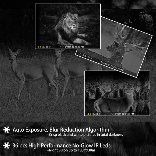 6-Pack Game Trail Deer Cameras for Observation 32MP 1296P Video with 100ft Night Vision Motion Activated 0.1S Trigger Speed Waterproof No Glow | A323