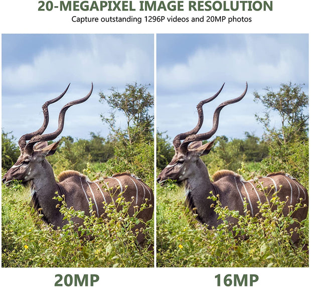 Mini Wildlife Trail Camera with Night Vision 0.5S Trigger Motion Activated 20MP 1080P IP66 Waterproof for Hunting & home security