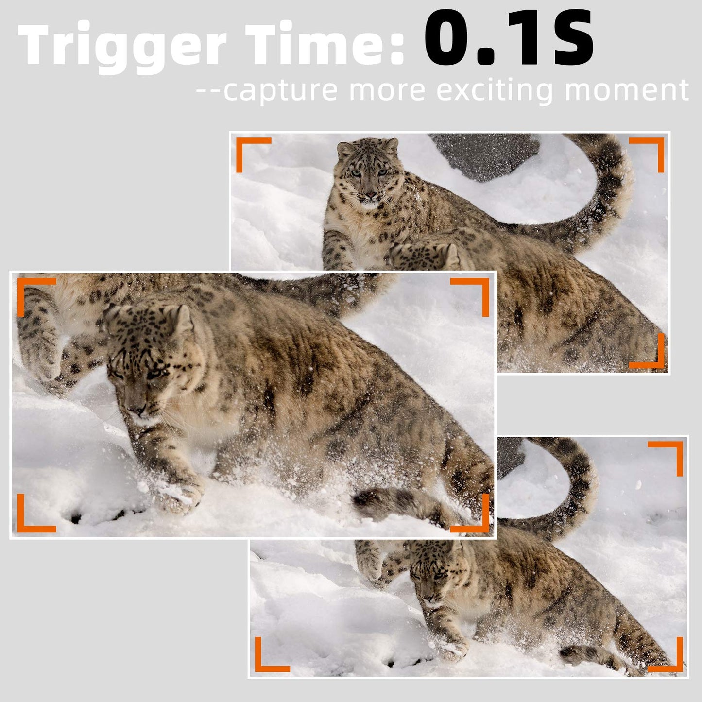 2-Pack 64MP 1296P MP4 Video Game Trail Deer Cameras Wildlife Cams 100ft Night Vision Motion Activated 0.1S Trigger Speed Waterproof No Glow | A323 Oak Brown