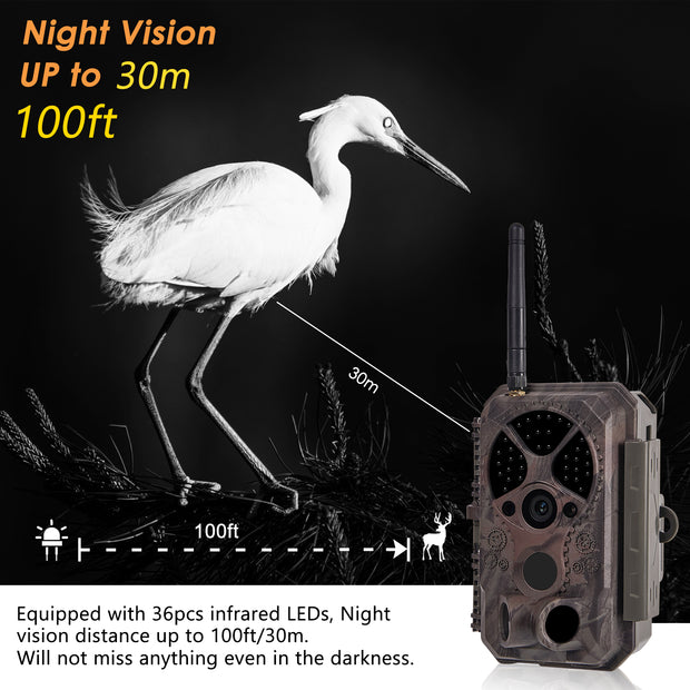 2-Pack Bluetooth Wireless WIFI Game Trail Cameras for Wildlife Observation & Home Backyard Security Night Vision Motion Activated Waterproof | A350W Red
