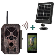 Bundle of Solar Panel and Bluetooth WIFI Game Camera 32MP 1296P Black Flash Wildlife Cam Night Vision Motion Activated Waterproof | A350W Red