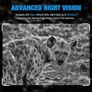 2-Pack Game & Trail Deer Cameras 24MP Photo & 1080P Video Night Vision Motion Activated for Outdoor Wildlife Observing & Home Security | DL2Q