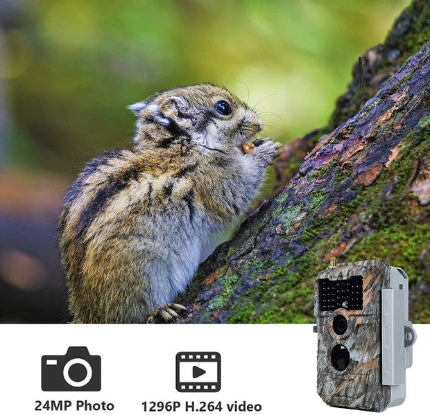 Wireless Bluetooth WiFi Game Trail Deer Camera 32MP 1296P Night Vision No Glow Motion Activated Stealthy Camouflage for Wildlife Observation, Home Security | W600
